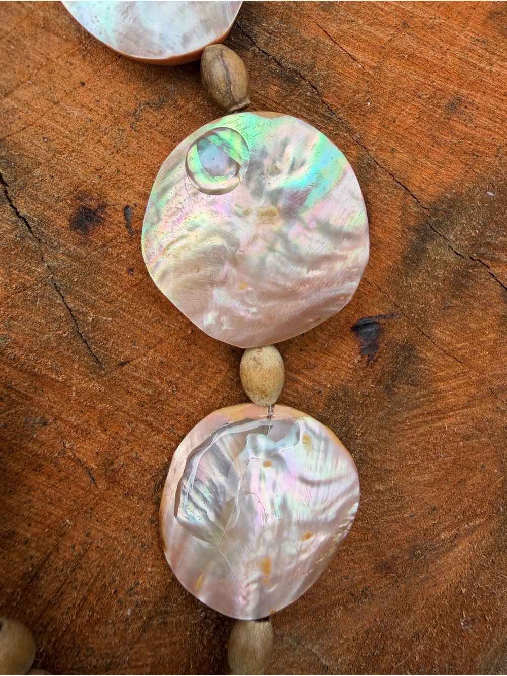 Shell Jewelry Bundle - Picture 8 of 8